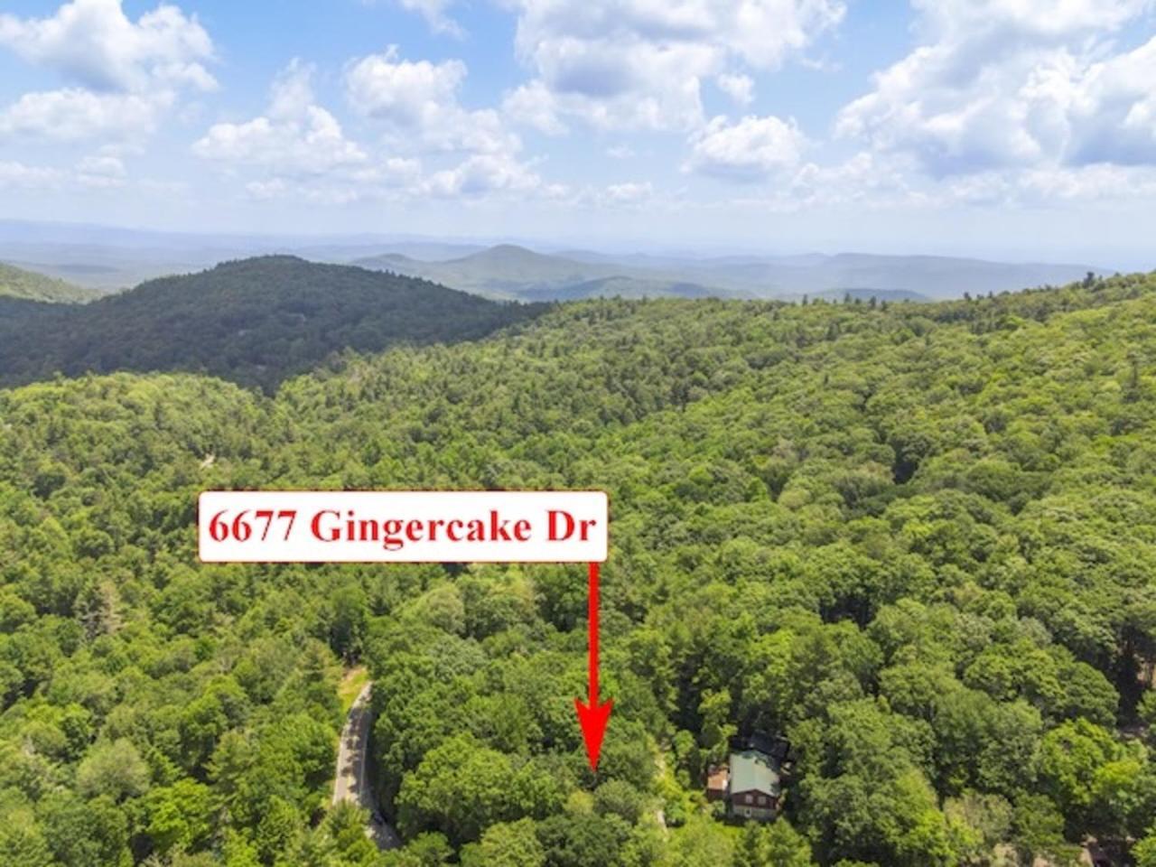 Gingercake Mtn Cottage At Linville Gorge - Wood Burning Fireplace Linville Falls Eksteriør billede