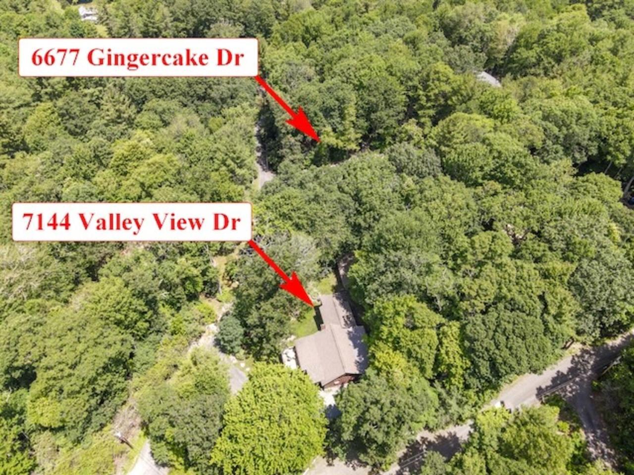 Gingercake Mtn Cottage At Linville Gorge - Wood Burning Fireplace Linville Falls Eksteriør billede