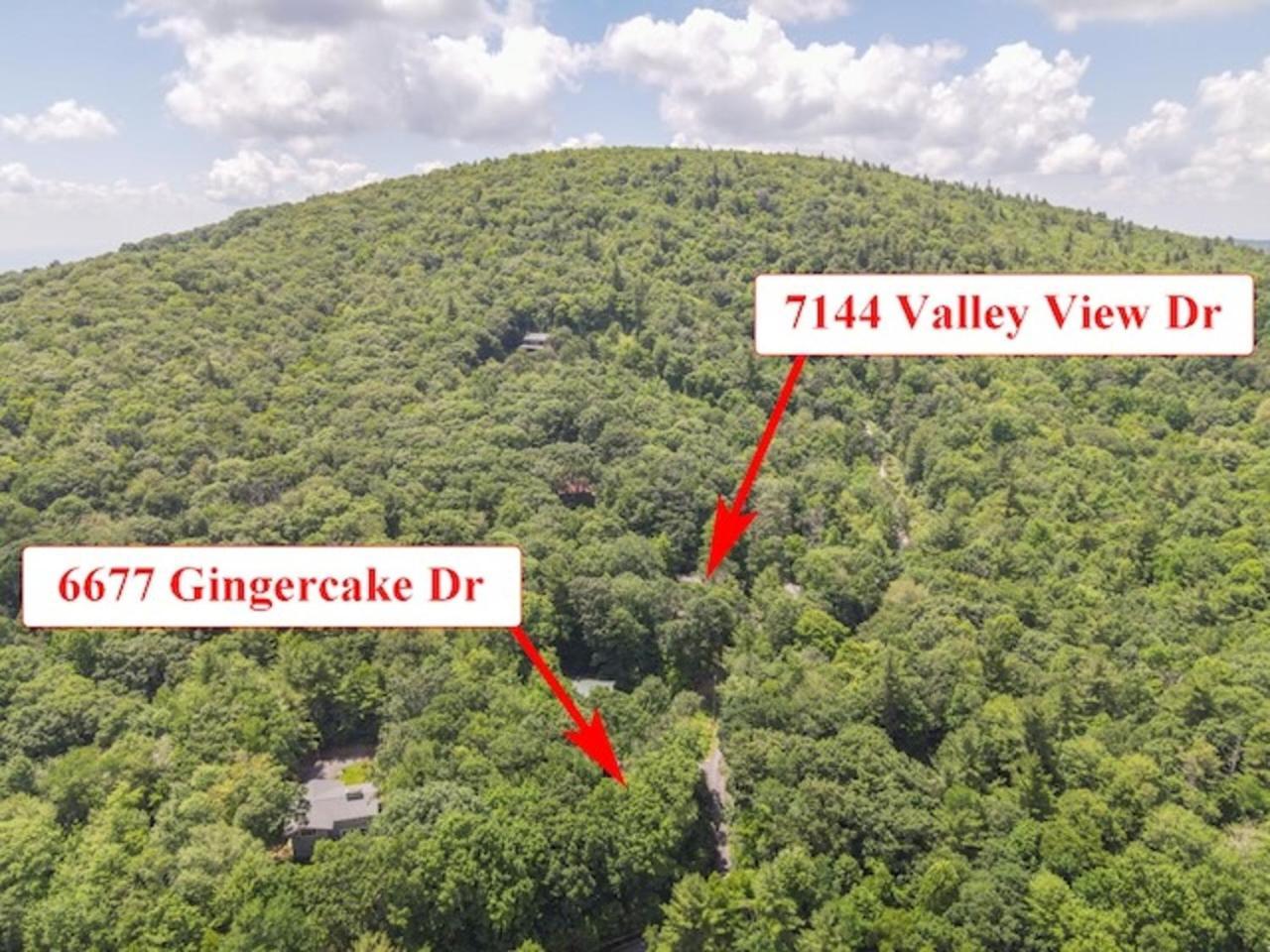 Gingercake Mtn Cottage At Linville Gorge - Wood Burning Fireplace Linville Falls Eksteriør billede